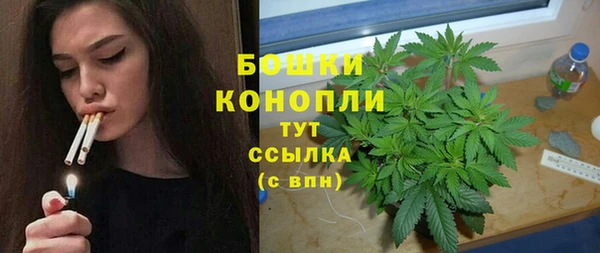 эйфоретик Богородск