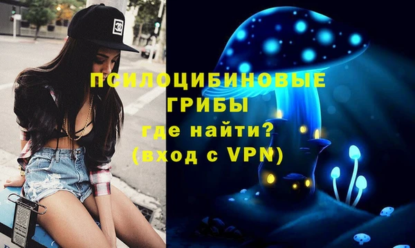 кокаин перу Богданович