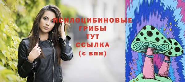 эйфоретик Богородск
