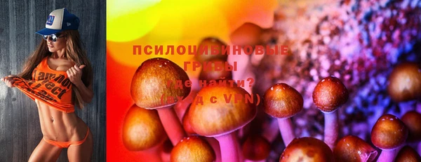 кокаин перу Богданович